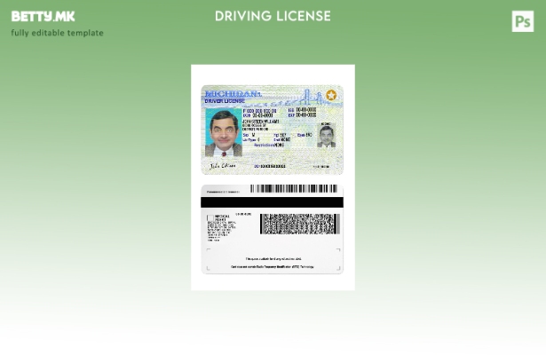 модерен стил USA Michigan DL сегашен шаблон